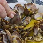 B02 - Sandy بورتيماو