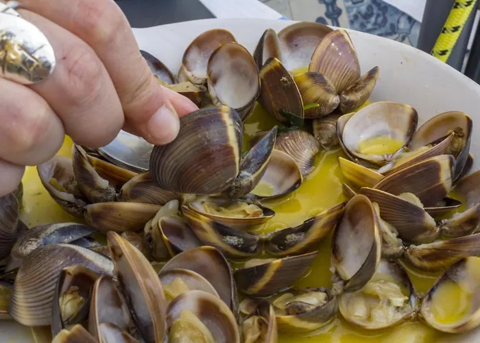 B02 - Sandy Portimão